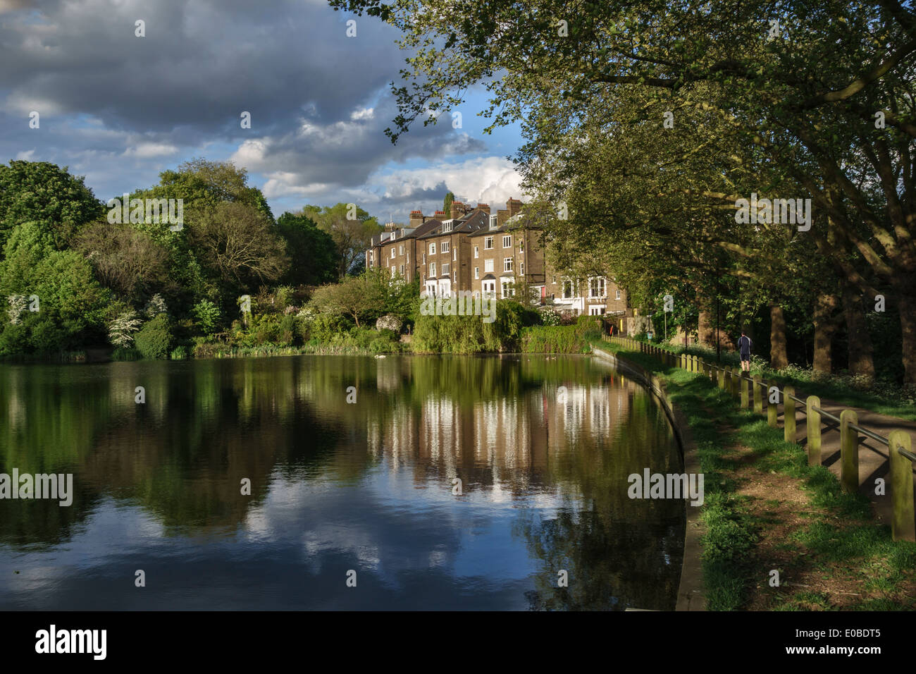 Hampstead No 2 Pond with the houses of South Hill Park Gardens