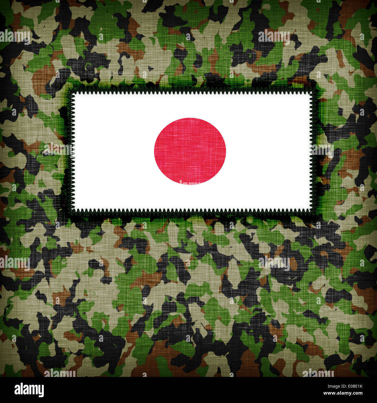 Amy camouflage uniform with flag on it  Japan Stock Photo