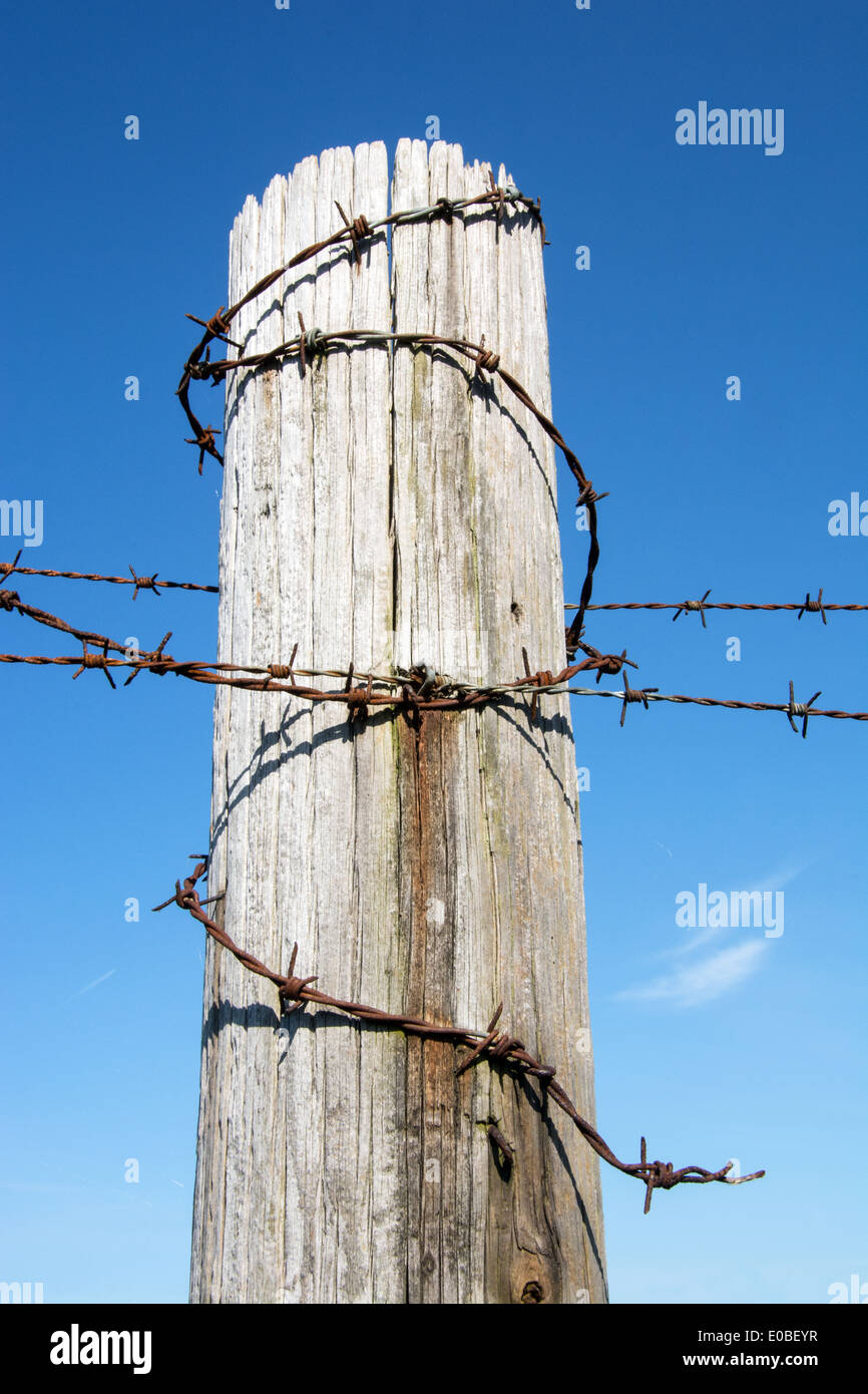 Rusty barbed wire Stock Photo Alamy