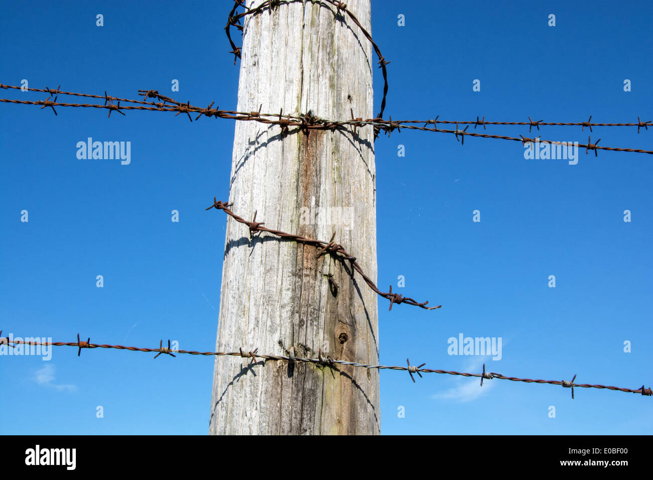 Rusty barbed wire Stock Photo Alamy