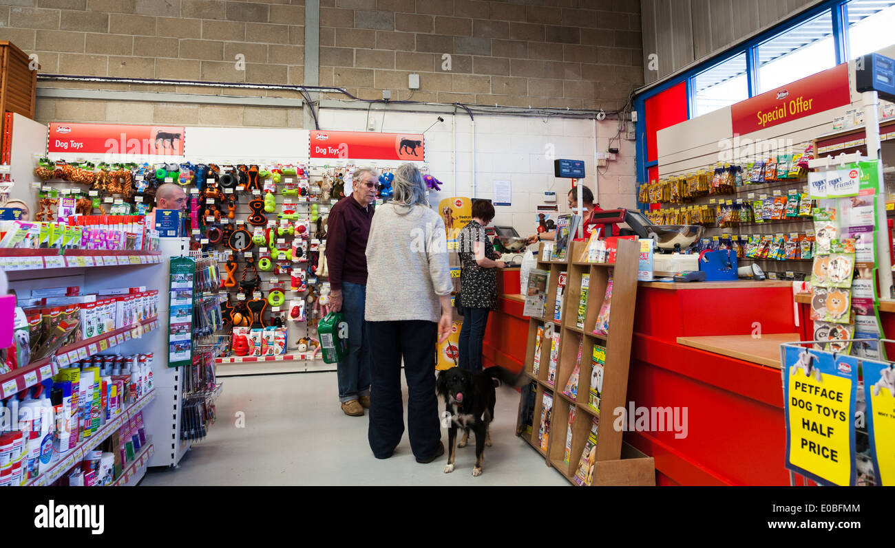 Customer at checkout at Jollyes Petfood Superstore. Stock Photo