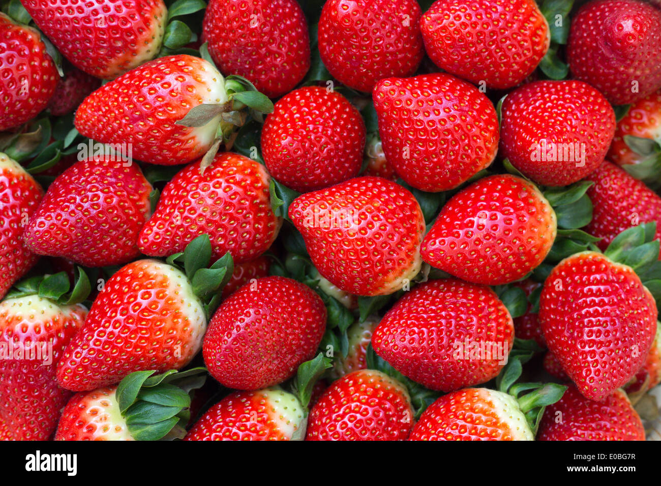 Strawberries full frame hi-res stock photography and images - Alamy