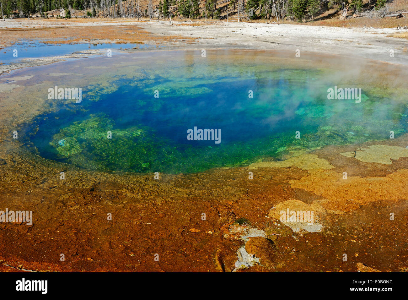Beauty Pool, Upper Geyser Basin, Yellowstone national park, Wyoming, USA Stock Photo