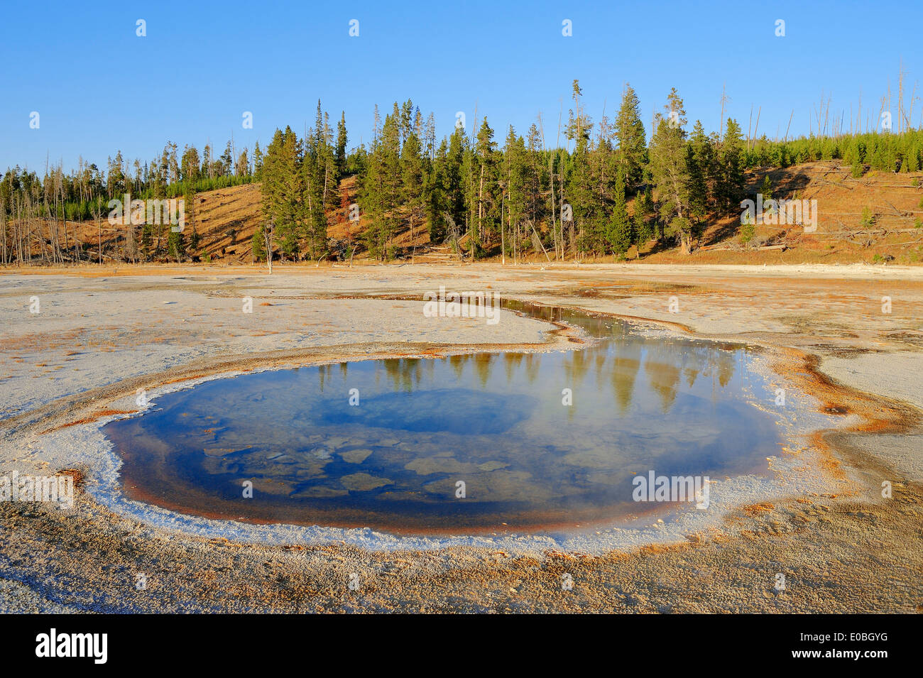 Chromatic Pool, Upper Geyser Basin, Yellowstone national park, Wyoming, USA Stock Photo