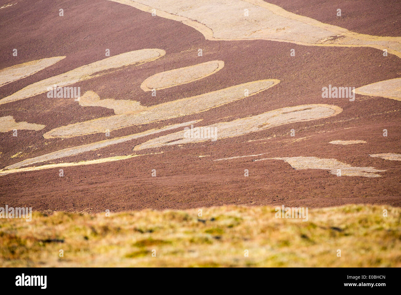 Patterns left in the heather from burning on Tinto Hill near Biggar in the Southern Uplands of Scotland, UK. Stock Photo