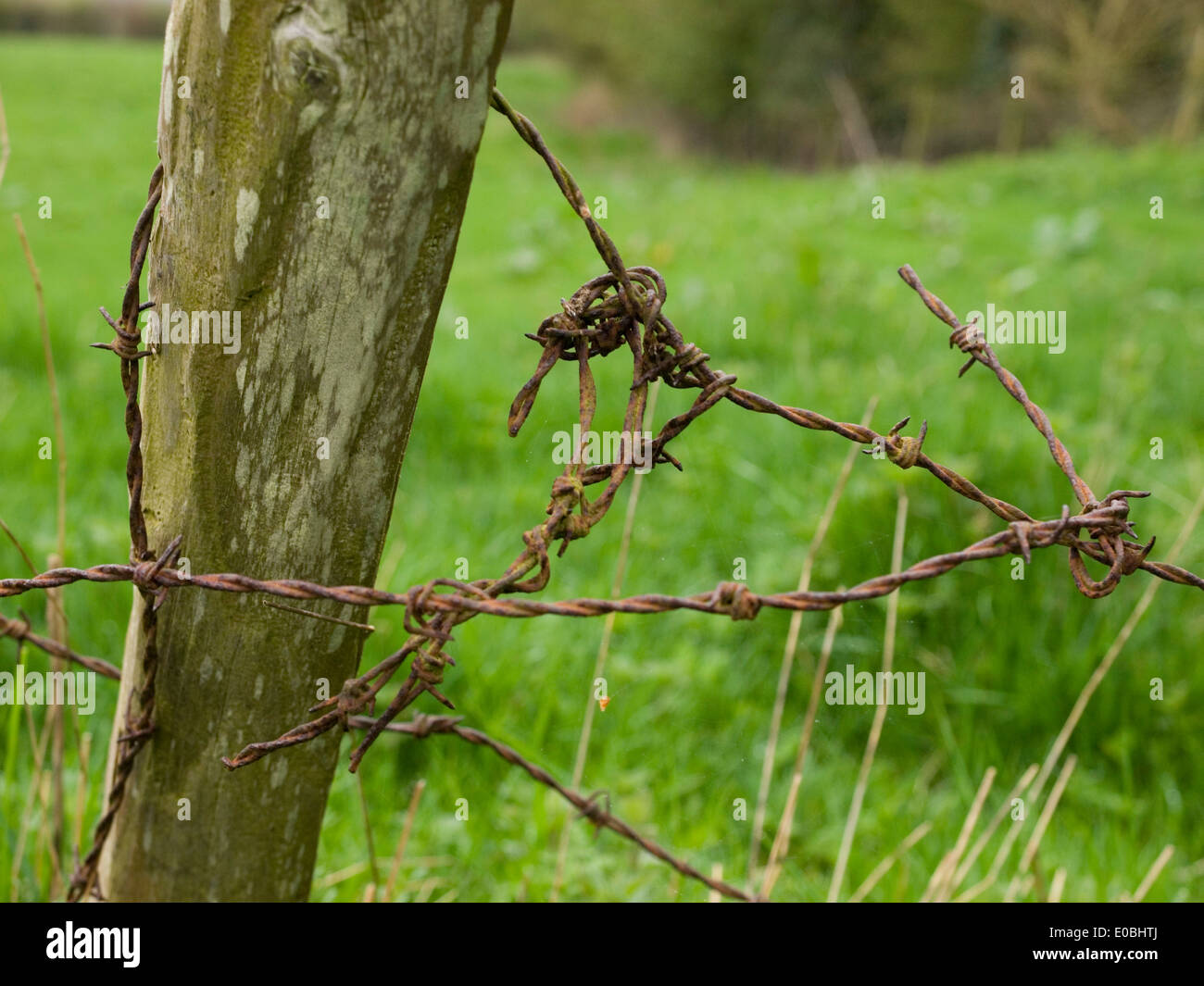 barbed wire tangled around fence post Stock Photo