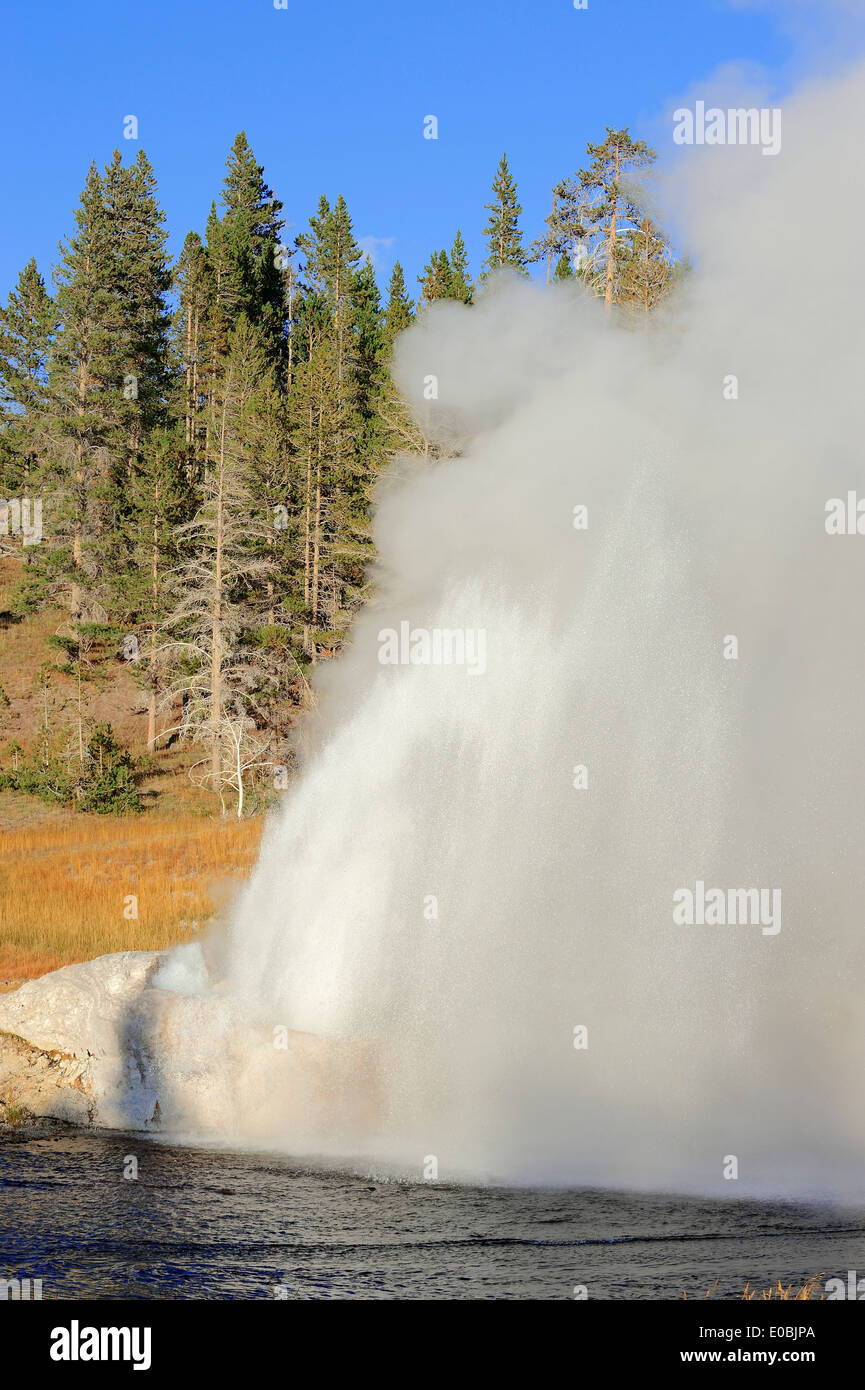 Riverside Geyser at the Firehole River, Upper Geyser Basin, Yellowstone national park, Wyoming, USA Stock Photo