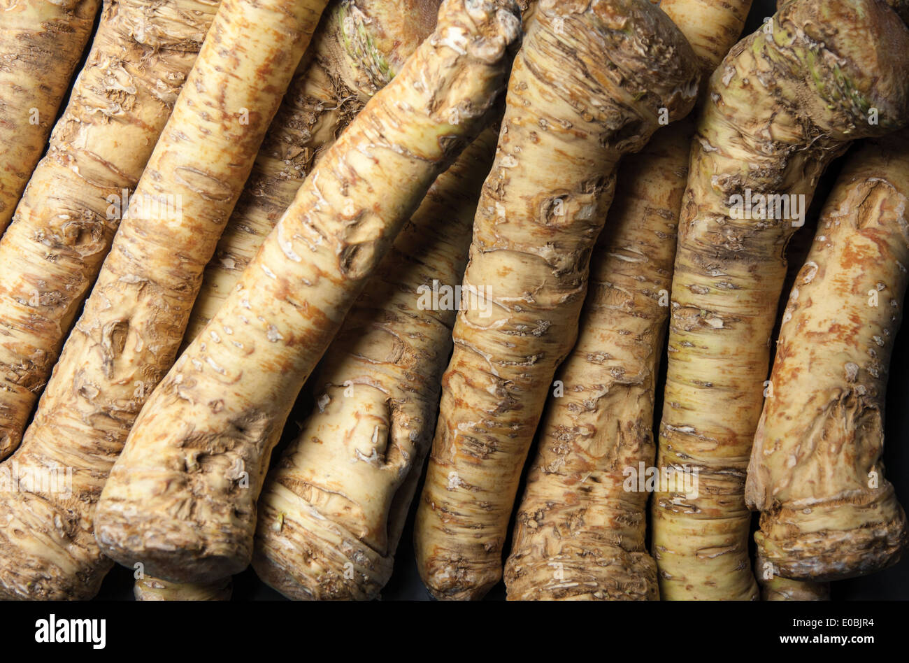 Horseradish roots Stock Photo