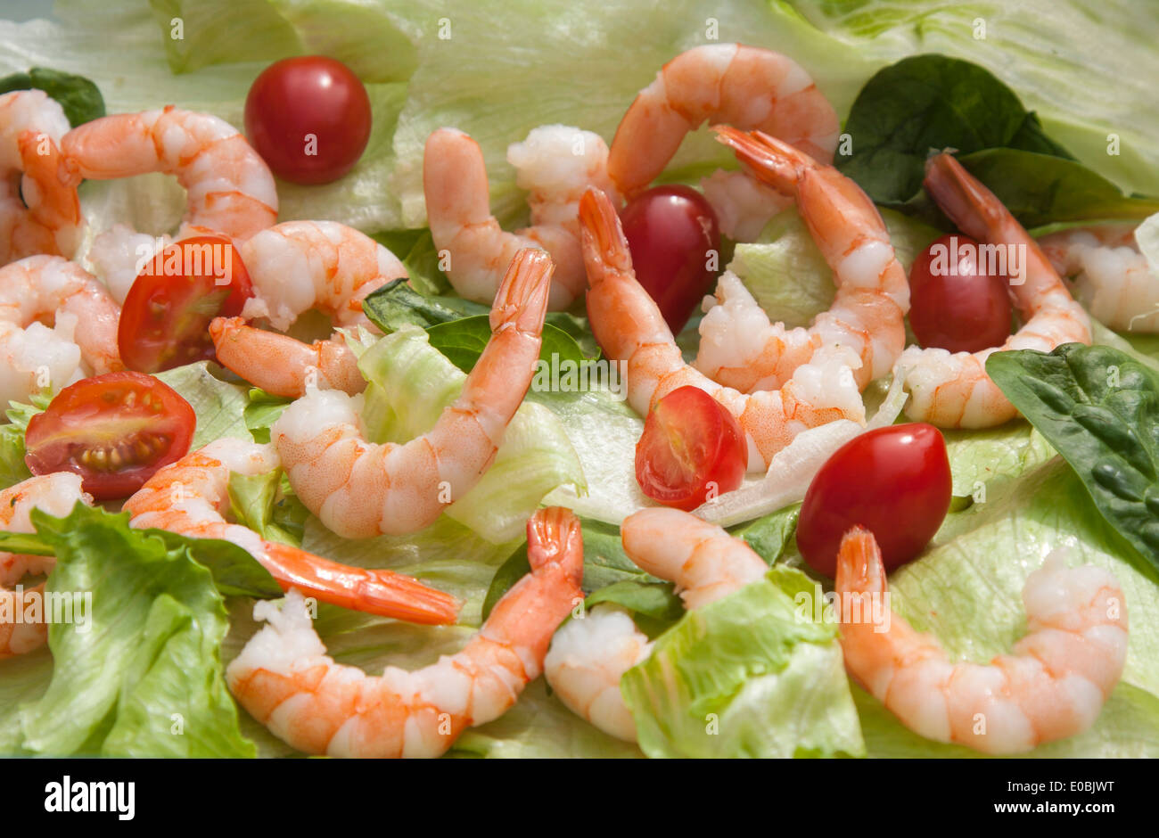 Seafood salad Stock Photo