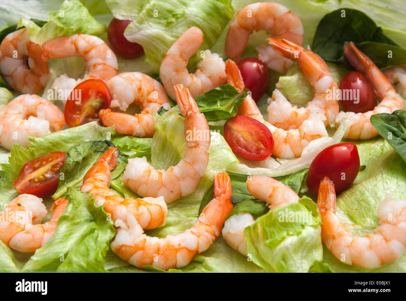 Seafood salad Stock Photo