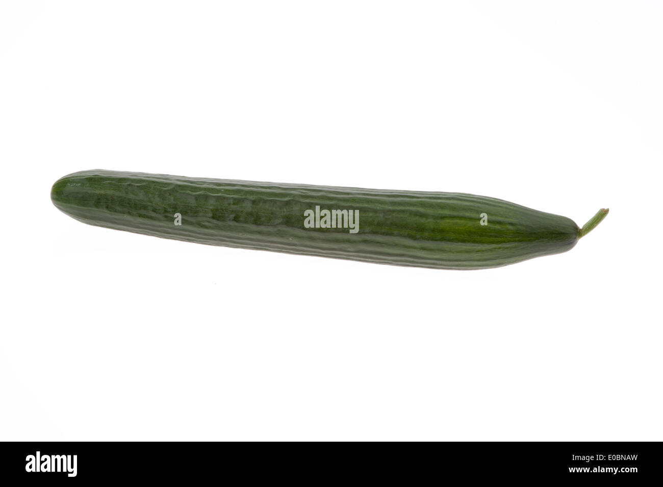 A cucumber lies on a white background, Eine Gurke liegt auf einem weissen Hintergrund Stock Photo