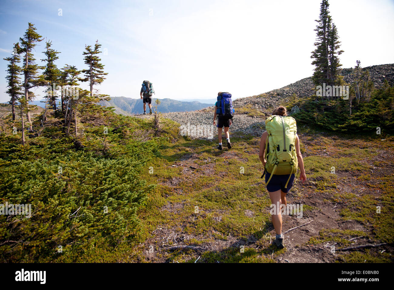 Rear view of shirt hi-res stock photography and images - Alamy