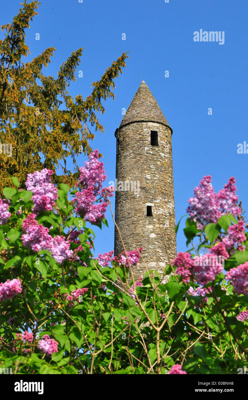 Round Tower of Glendalough with Blue Sky and Blossoms Stock Photo
