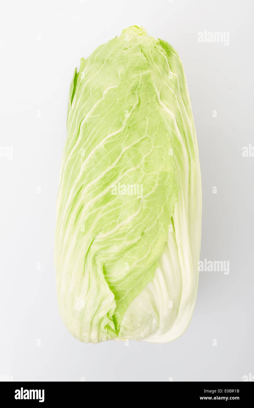 Green chinese long cabbage with soft shadow Stock Photo
