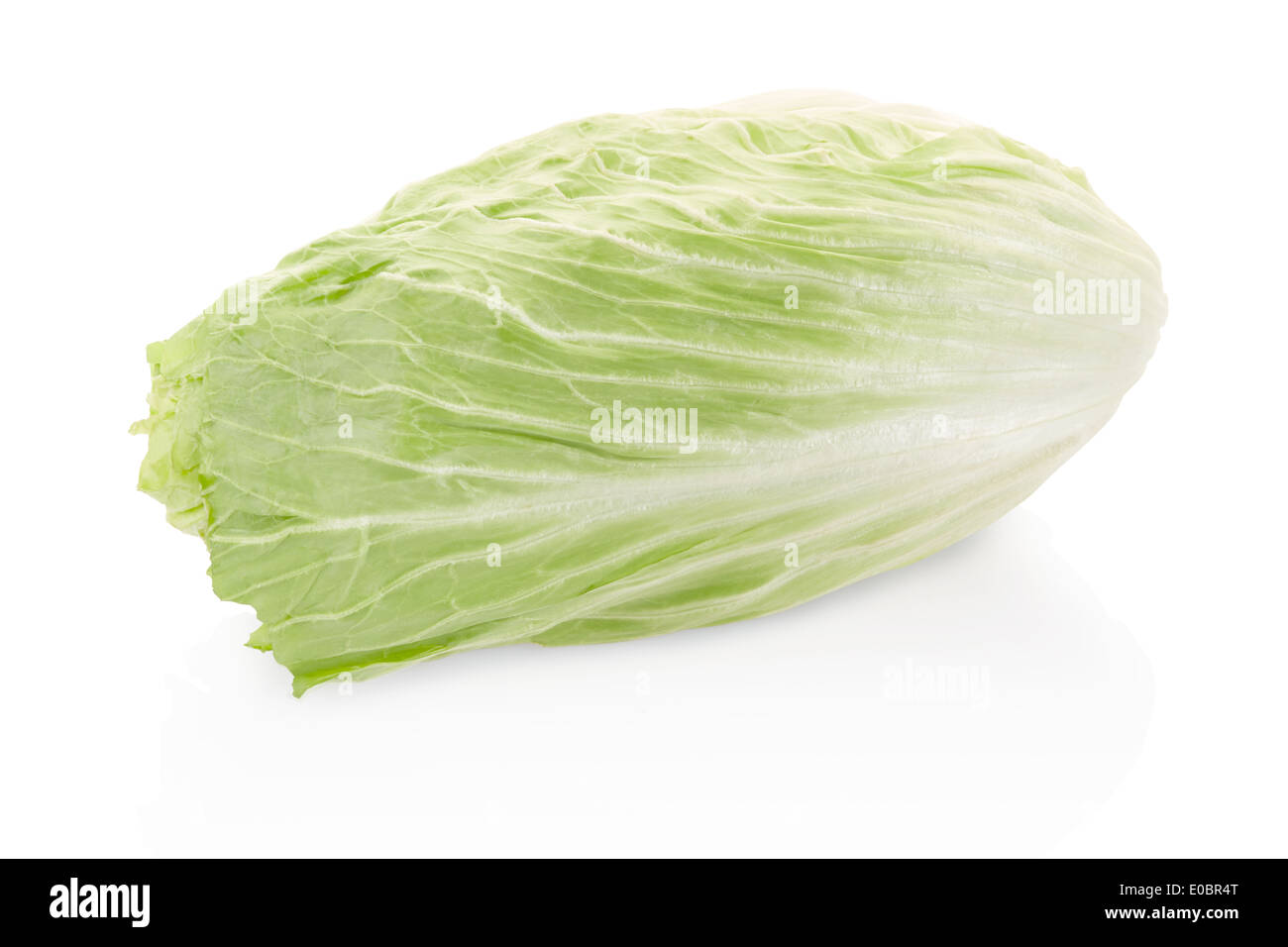 Green long cabbage Stock Photo