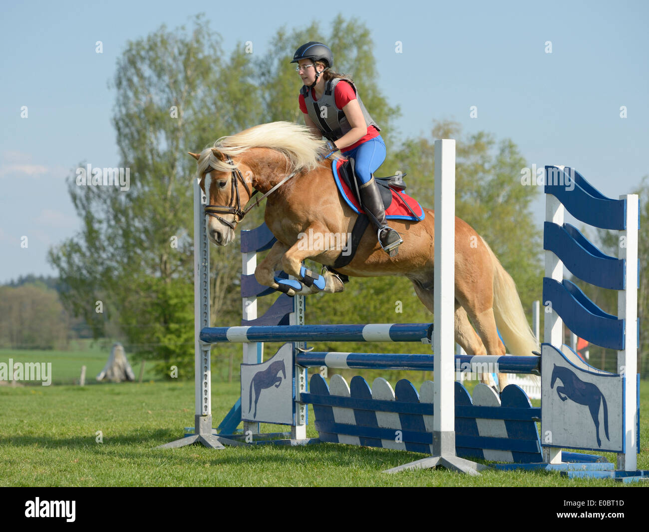 Horse Jumping Over Fence Stock Photos & Horse Jumping Over Fence Stock
