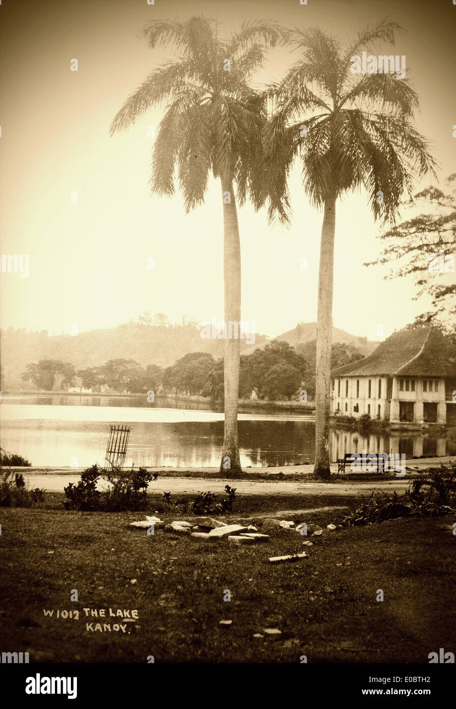Ceylon (Sri Lanka Stock Photo - Alamy