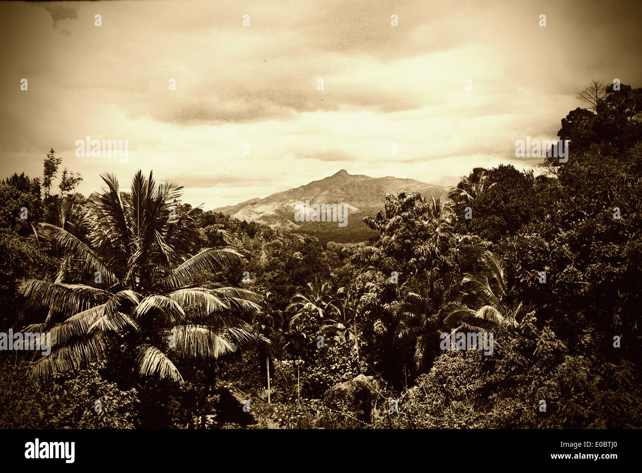 Ceylon (Sri Lanka Stock Photo - Alamy