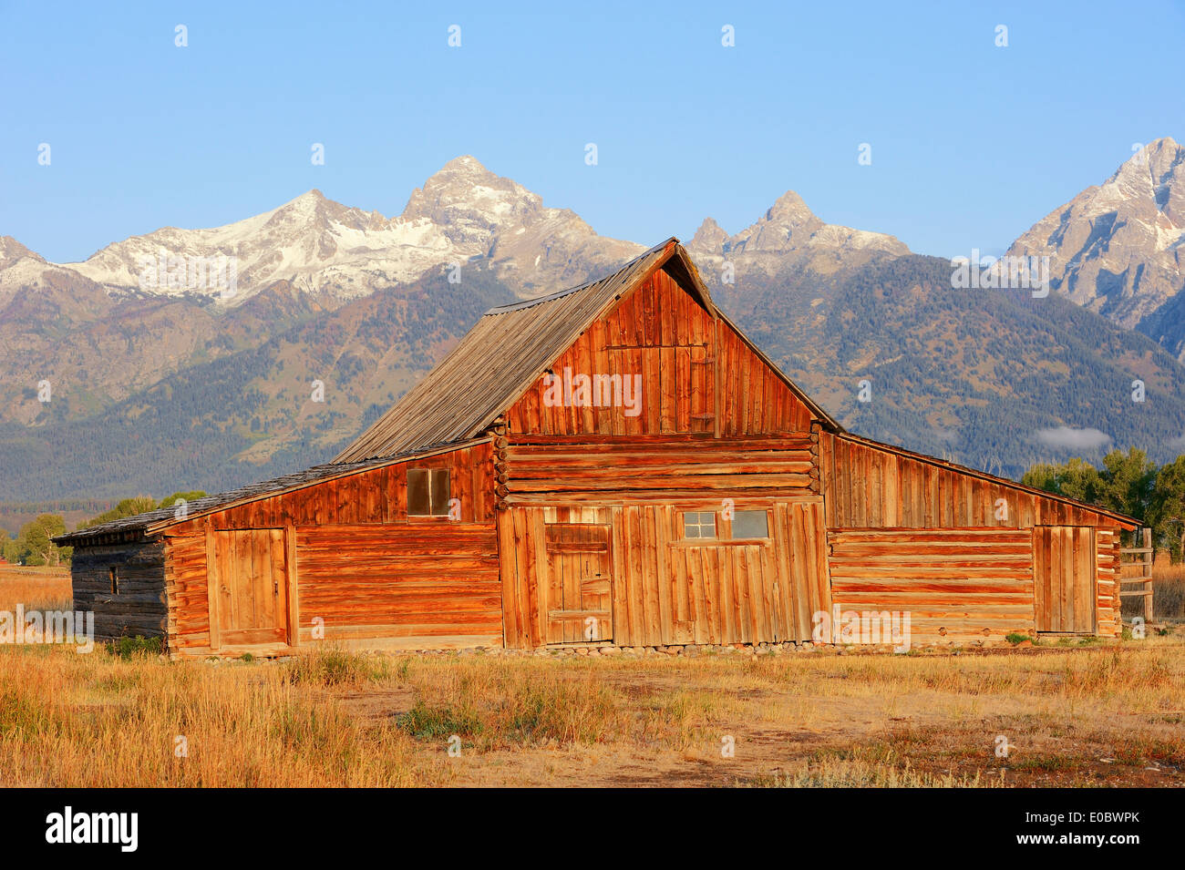 Historic barn in front of Teton Mountain Range, Mormon Row, Antelope Flats, Grand Teton National Park, Wyoming, USA Stock Photo