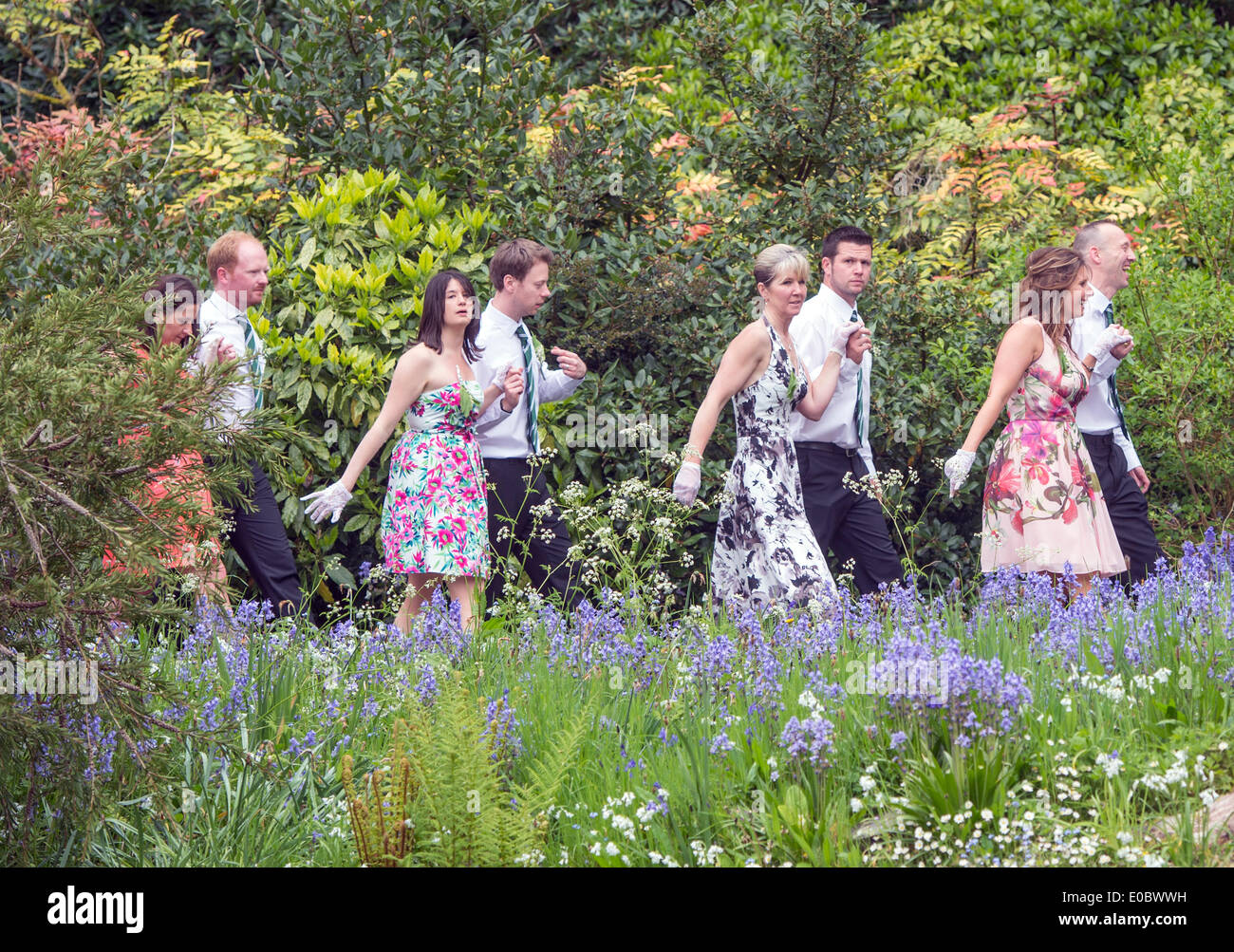 Helston Flora Day 2014 Evening Dance which takes place at 5pm Stock Photo