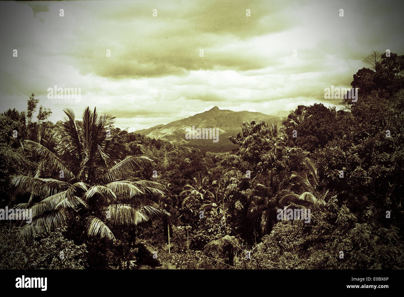 Ceylon (Sri Lanka Stock Photo - Alamy