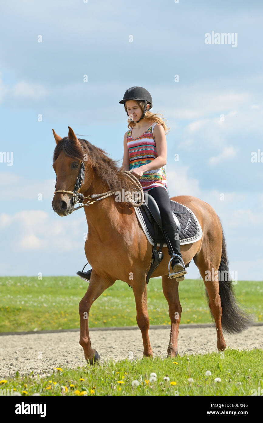 Girl riding tölt on a Paso Fino horse Stock Photo
