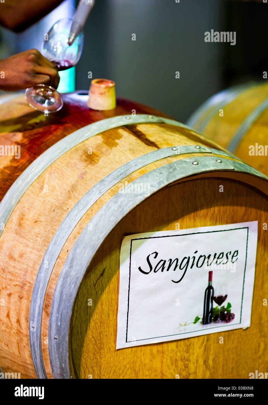 Tasting young wines from the barrel, OmniBerg Round the Rock, Wine Festival,  Paarl, Western Cape, South Africa Stock Photo