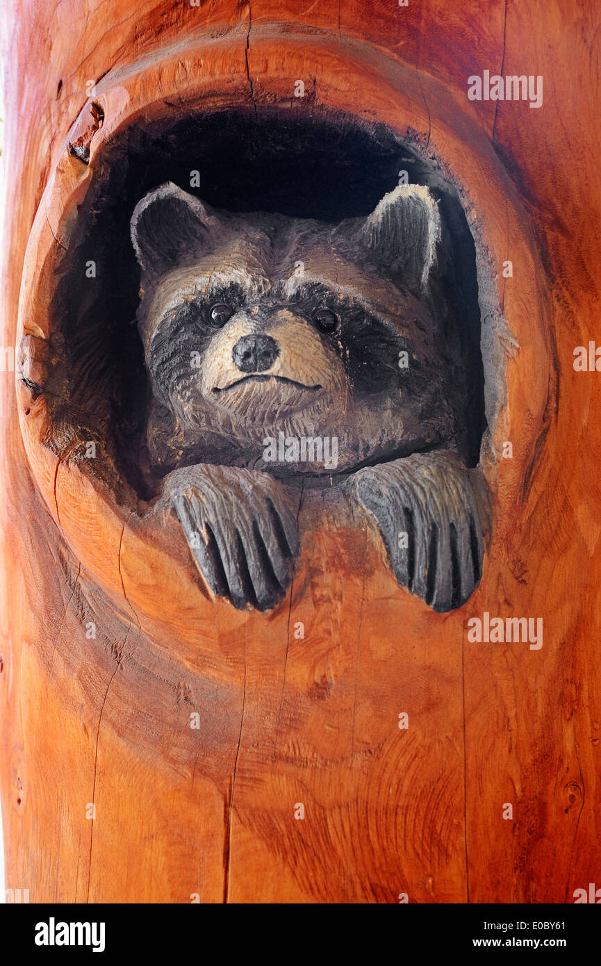 Raccoon figure made of wood, Jackson, Wyoming, USA Stock Photo