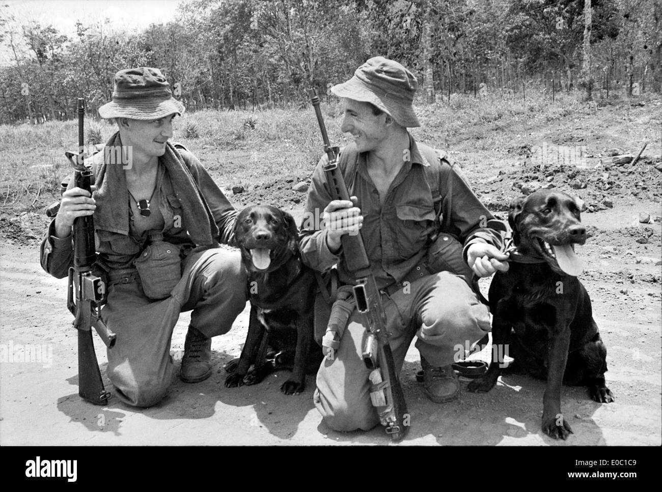 Tracker dogs, 1967 Stock Photo