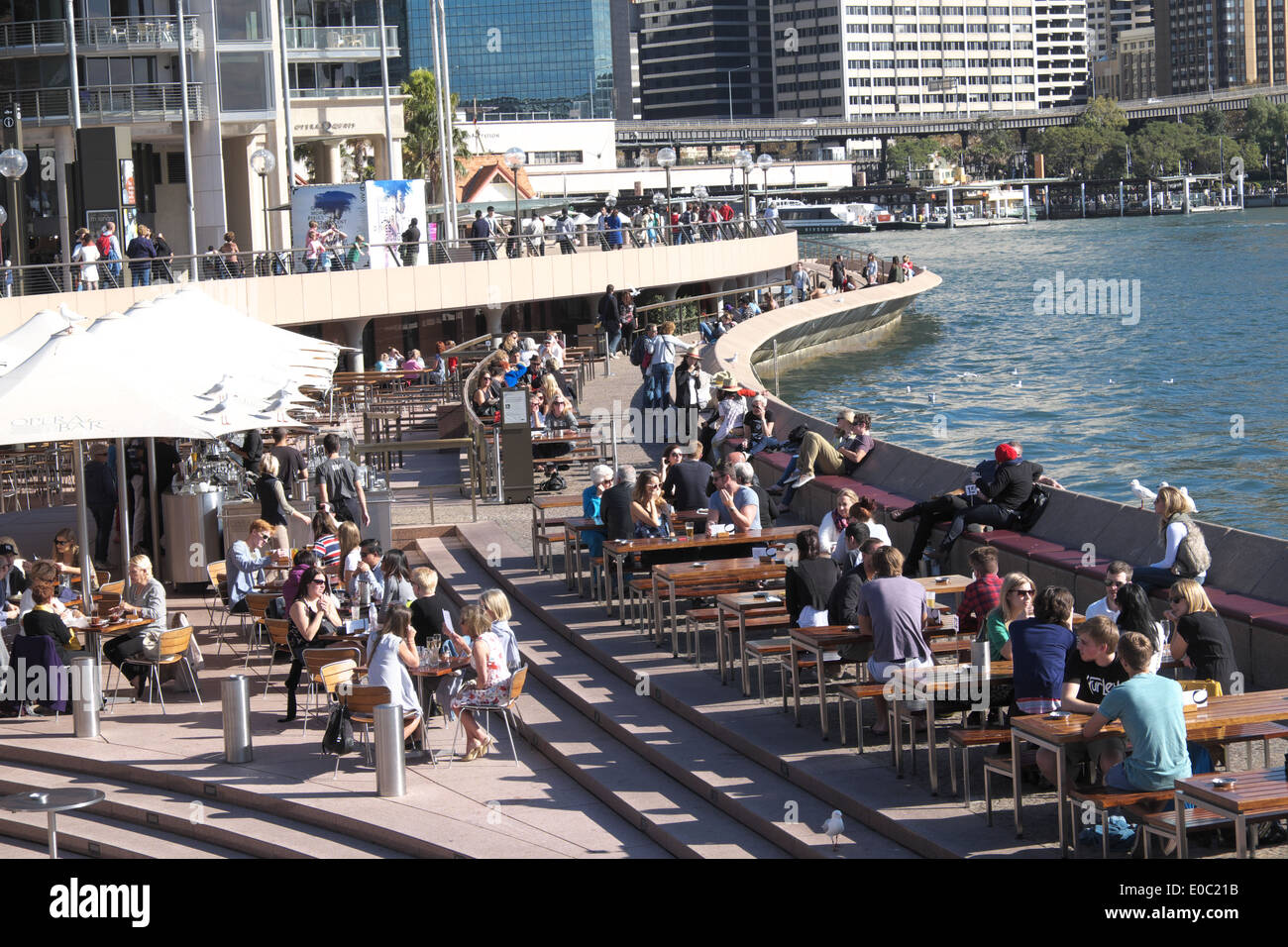opera house bar at sydney circular quay viewed from opera house,australia Stock Photo