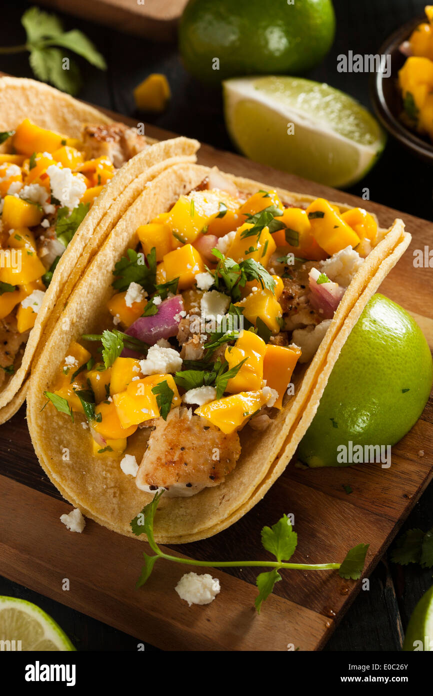 Baja Fish High Resolution Stock Photography And Images Alamy
