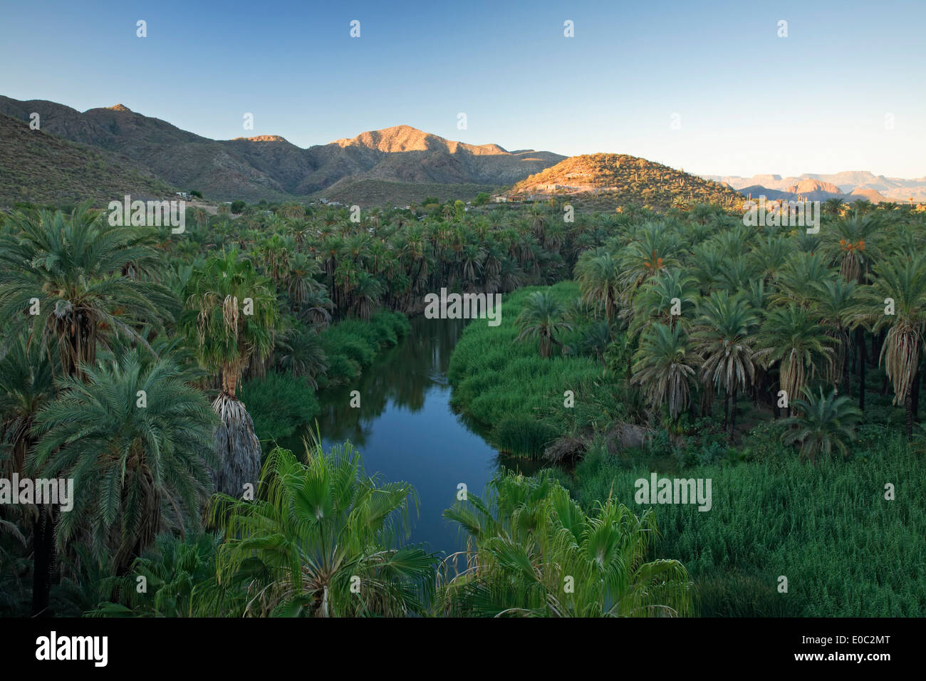 Mulege River and palm trees, Mulege, Baja California Sur, Mexico Stock