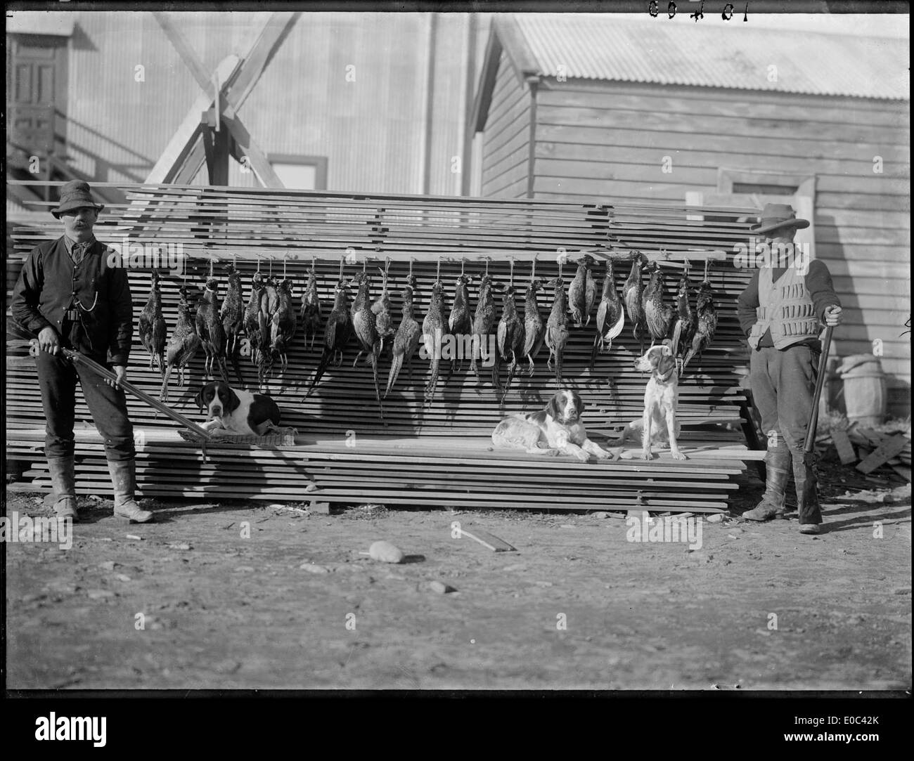 Hunters with dead pheasants, 1912 Stock Photo