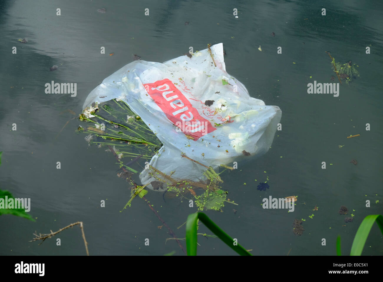 plastic bag floating in canal Stock Photo Alamy