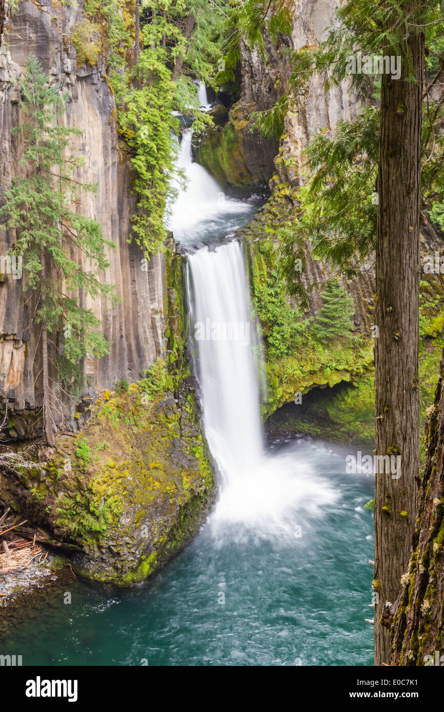 Toketee falls in the north Umpqua river in the Umpqua national forest in Oregon early springtime Stock Photo