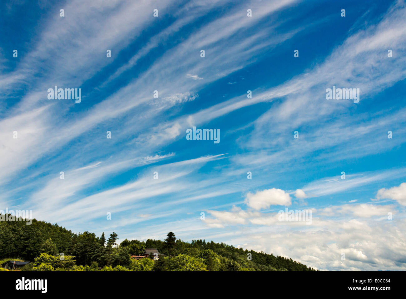 House in the forest with sky of clouds, Furano, Hokkaido Prefecture, Japan Stock Photo