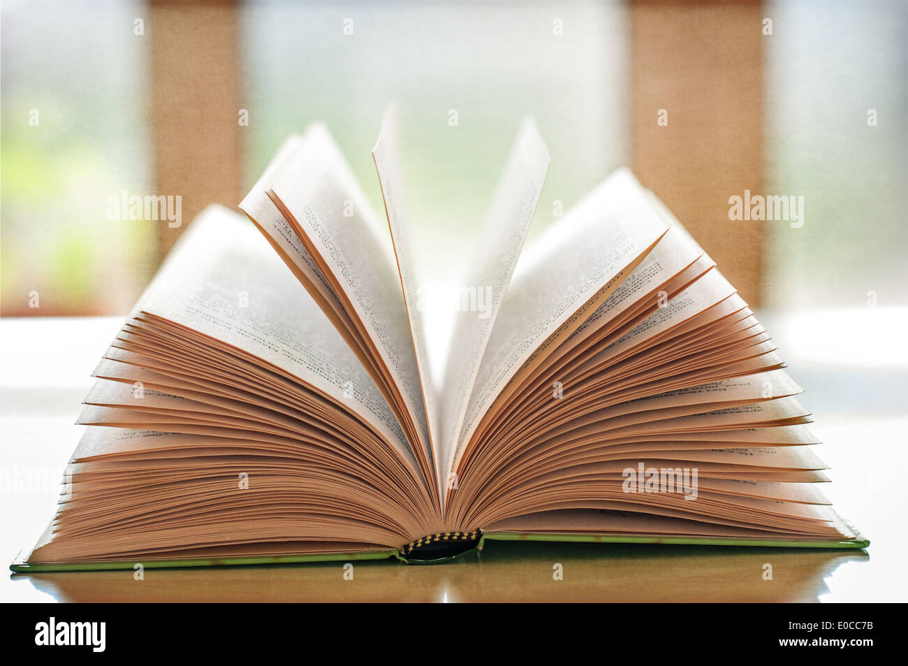 Open book on a white table in front a window Stock Photo