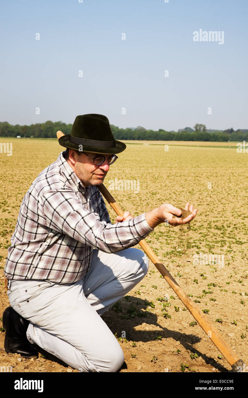 A farmer controls the small plants on a field in the agriculture., Ein Landwirt kontrolliert die kleinen Pflanzen auf einem Feld Stock Photo