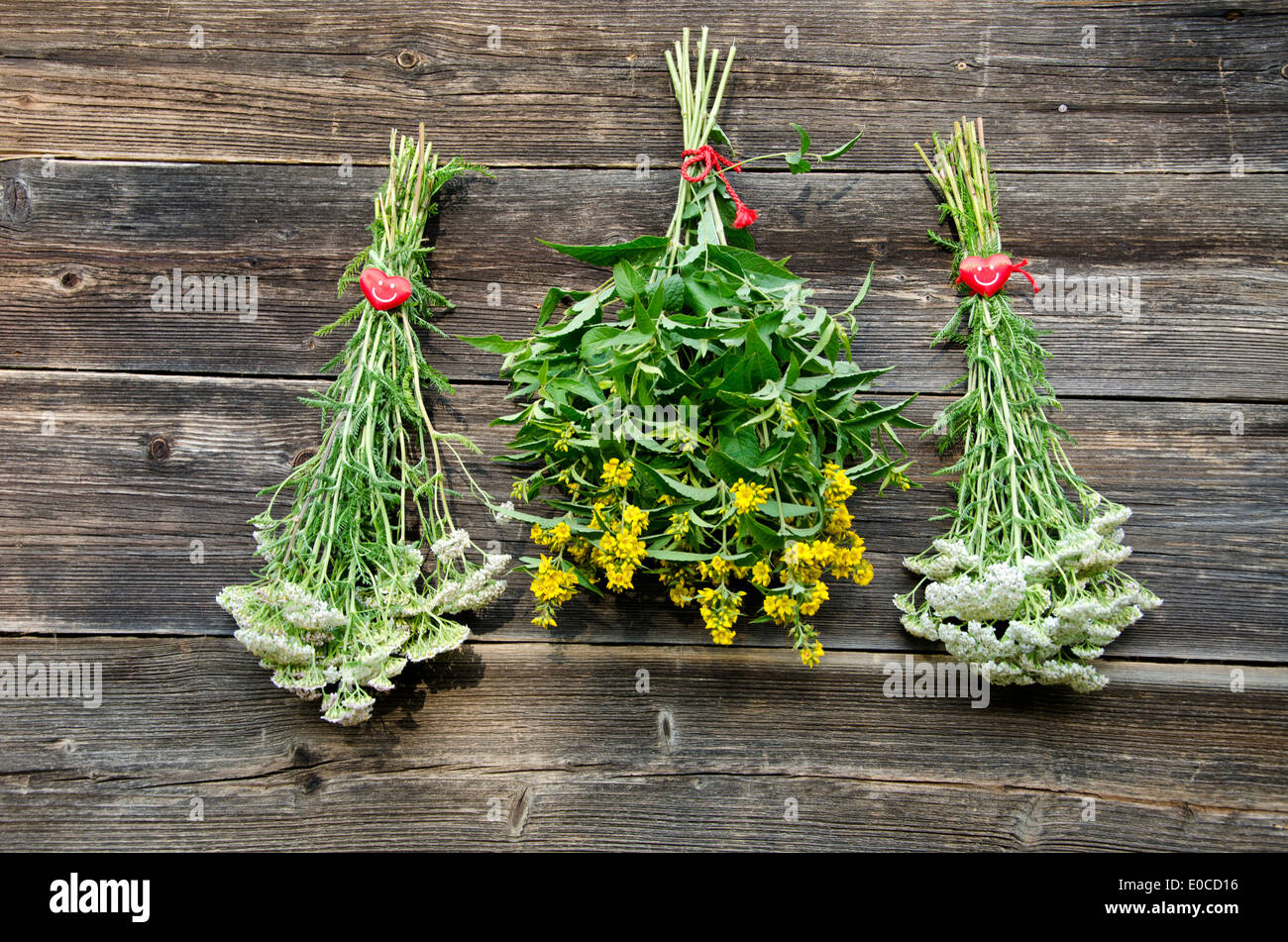 summer medical herb bunch on old wooden farm barn wall Stock Photo