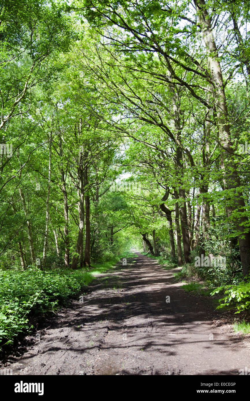 Uk wimbledon common park hires stock photography and images Alamy