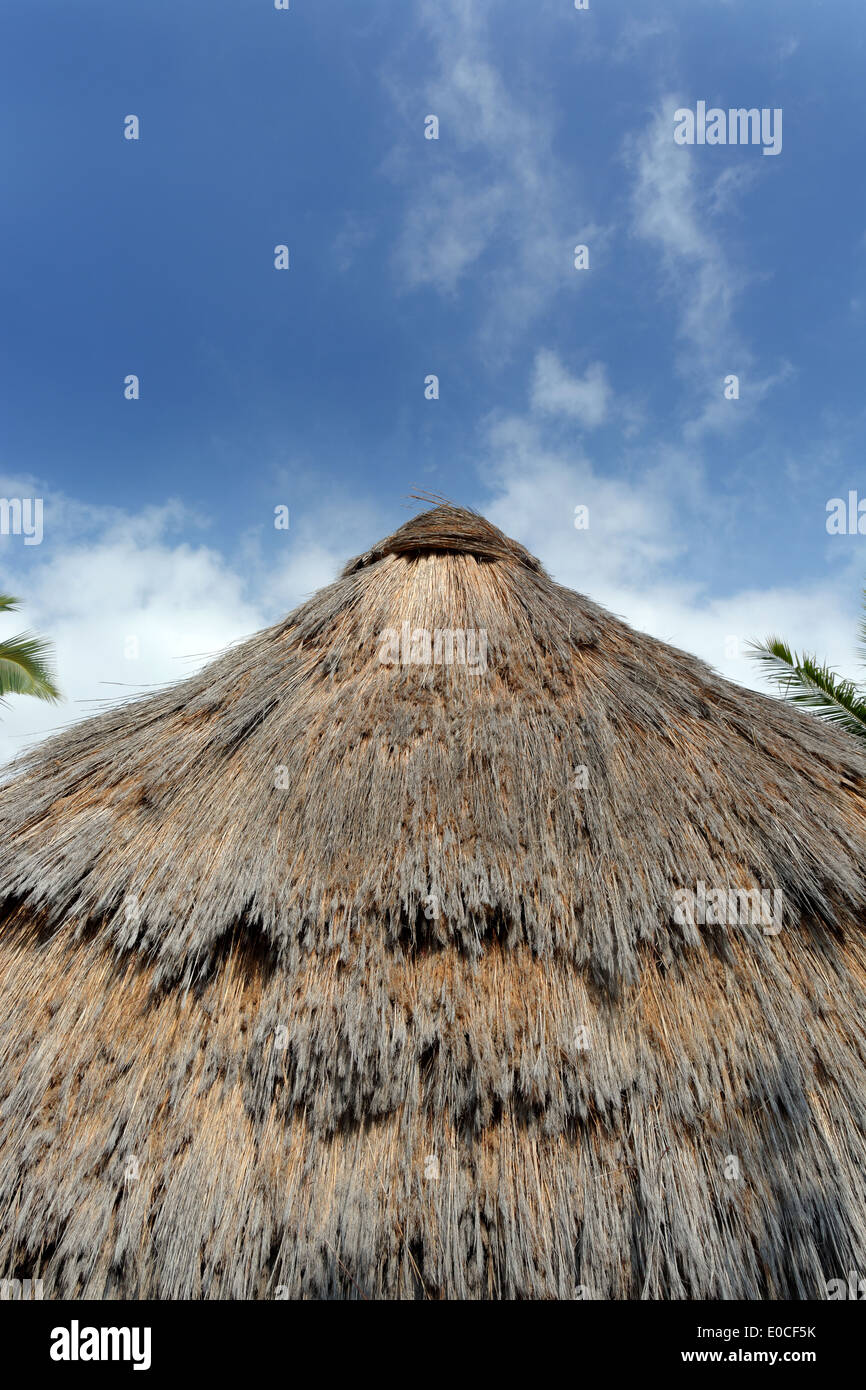 Traditional house hawaii hires stock photography and images Alamy