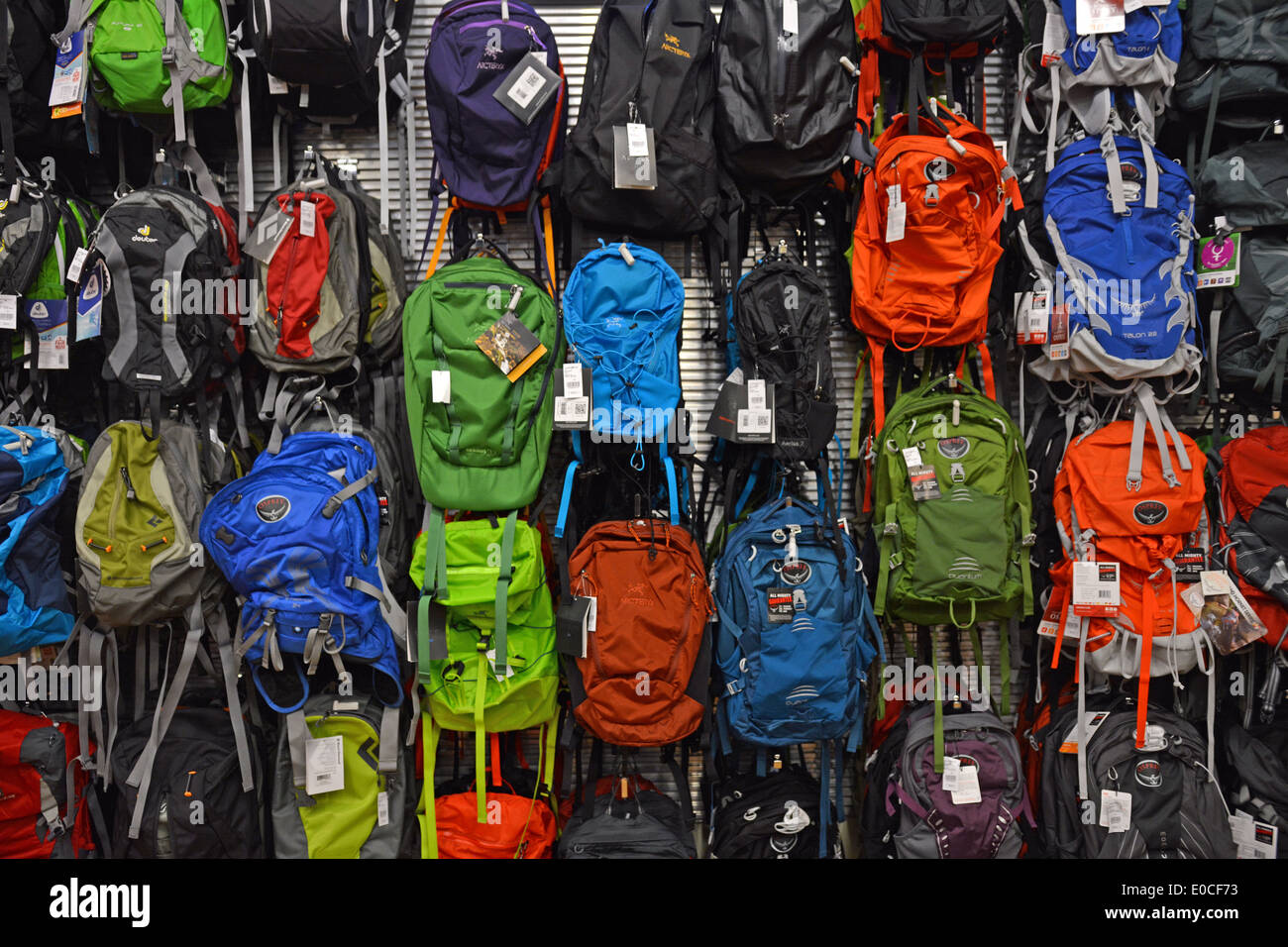 Sporting goods backpacks sale