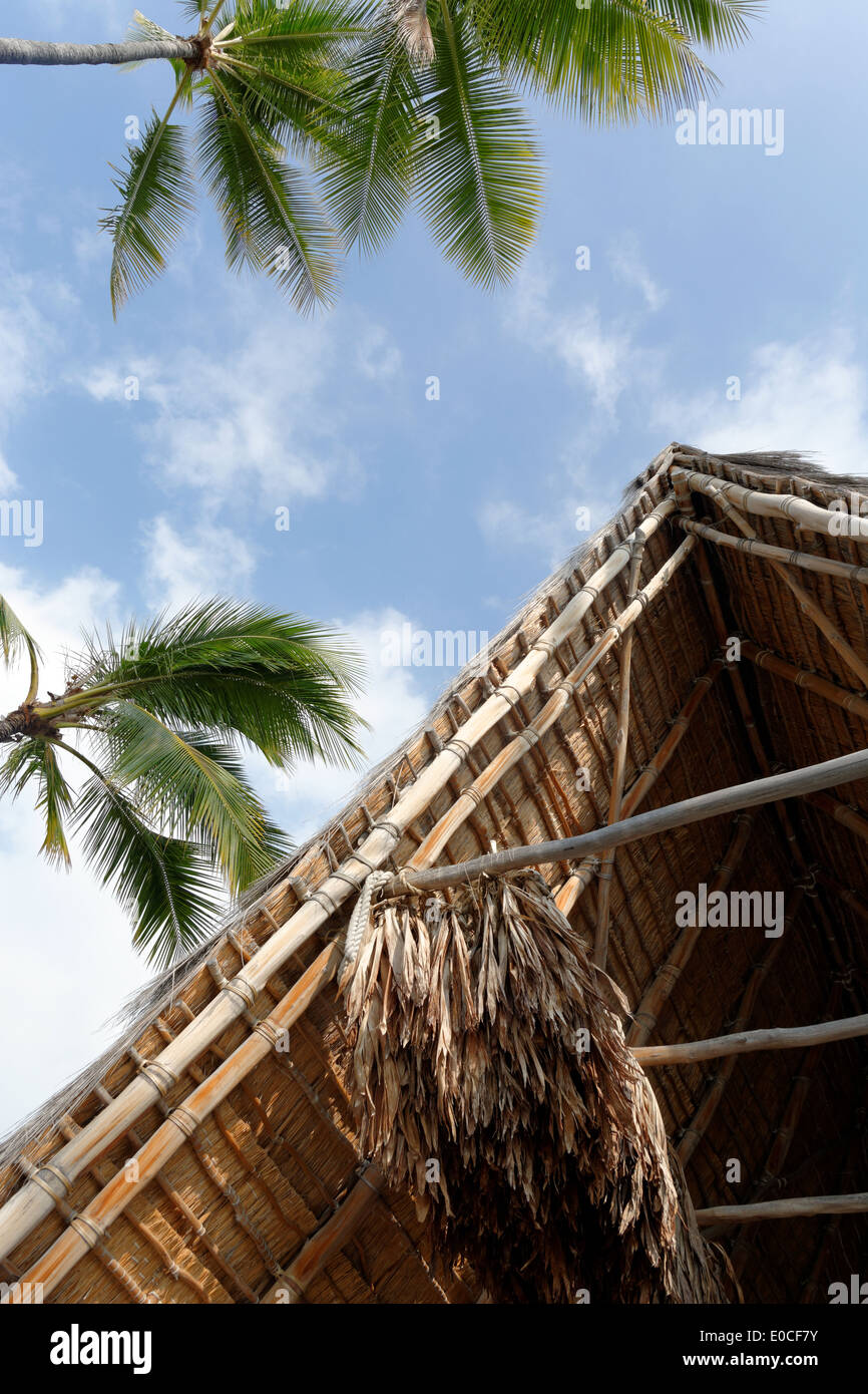 Traditional house hawaii hires stock photography and images Alamy
