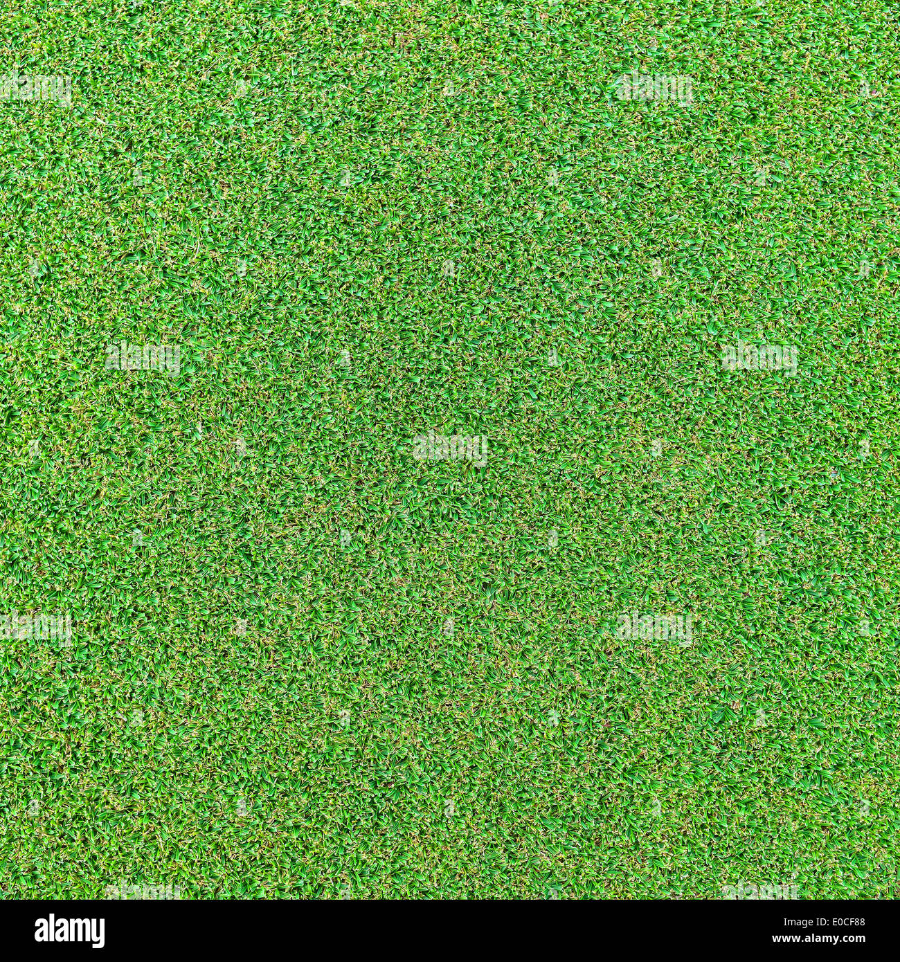 Decorative grass background hi-res stock photography and images - Alamy