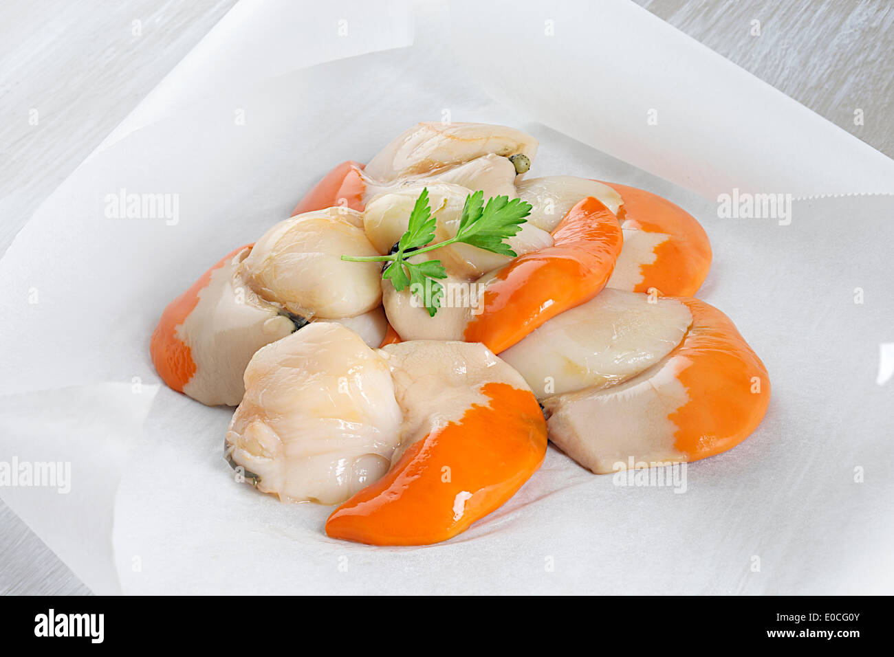 Great scallop Stock Photo