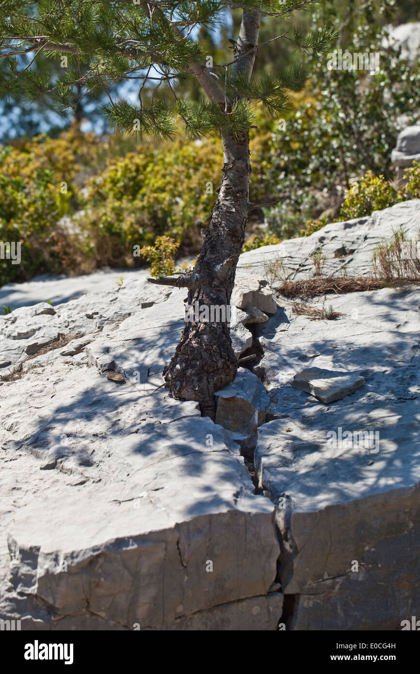 Cracking Up Stock Photos & Cracking Up Stock Images Alamy