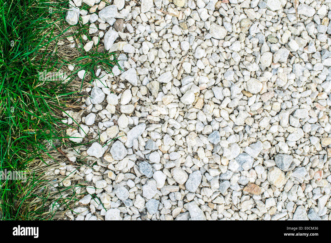 Stone wall and green grass floor hi-res stock photography and images ...