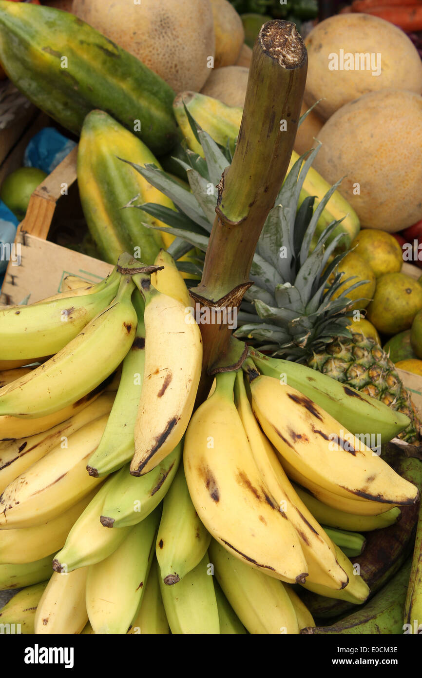 Banana stalk hires stock photography and images Alamy
