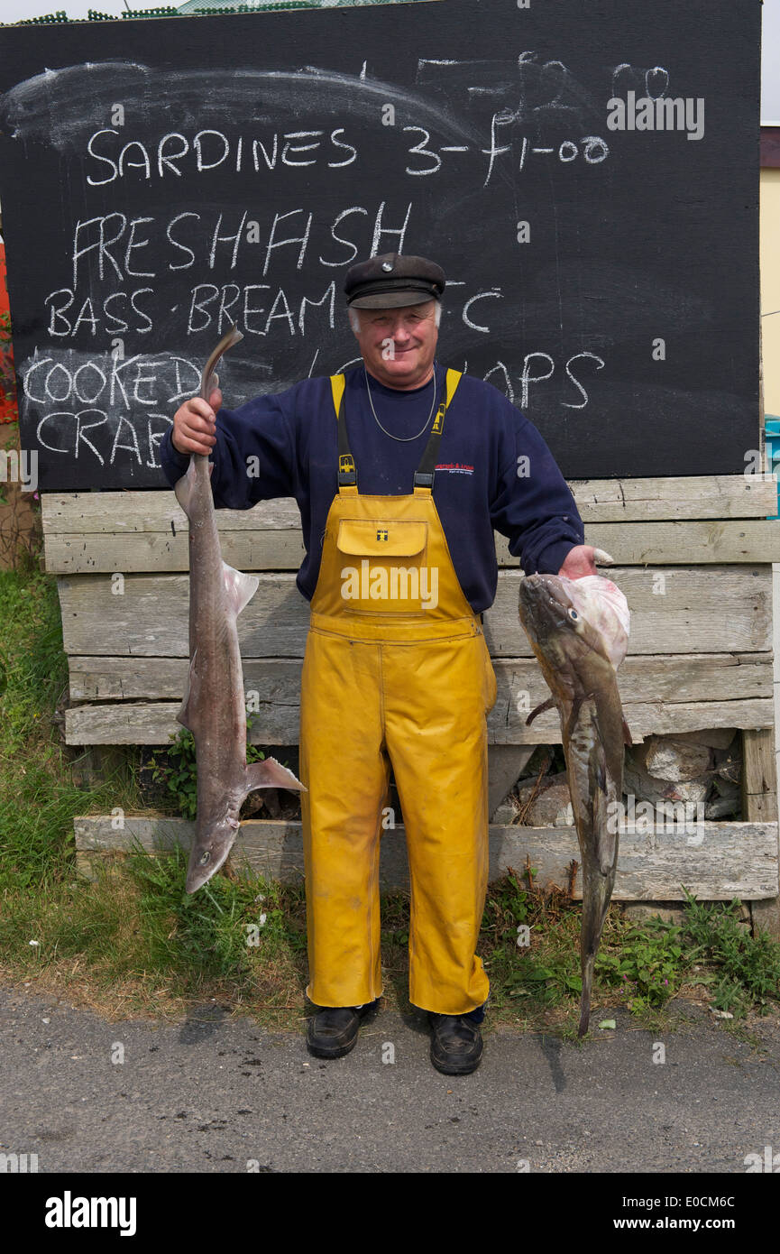 Cornwall, Fisherman, Fish Trader, Shark, Cod, Fish for Sale, Cornish Fisherman, Selling Fish, Sustainable Fishing Stock Photo