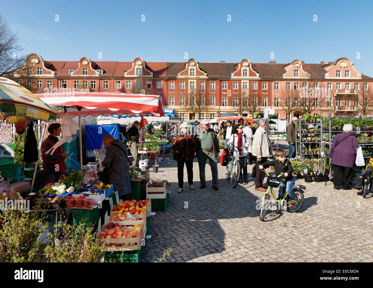 Brandenburg farmers market hires stock photography and images Alamy